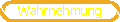 Wahrnehmung
